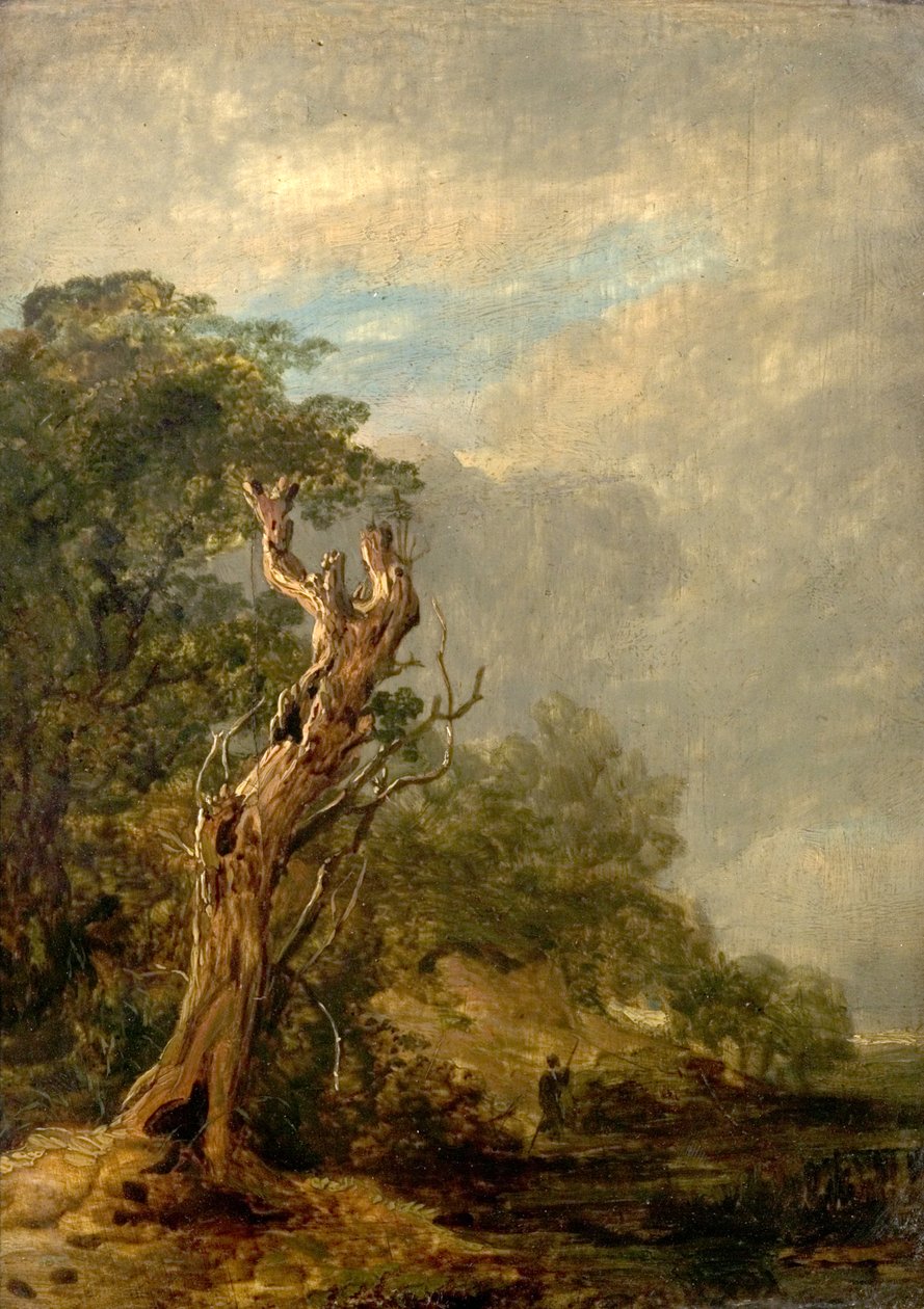 A árvore murcha de William Collins