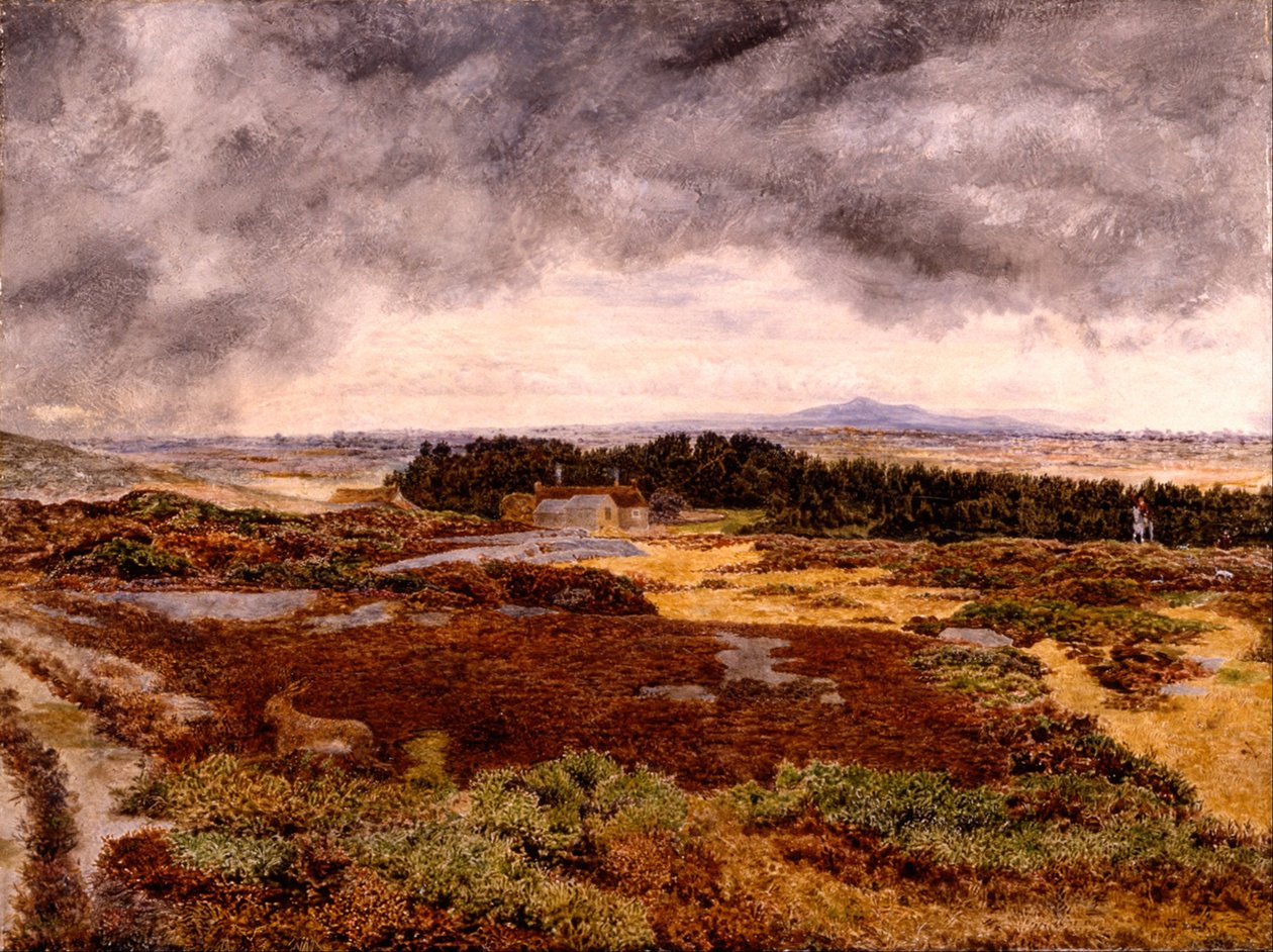 Vista do Monte Bidston de William Davis