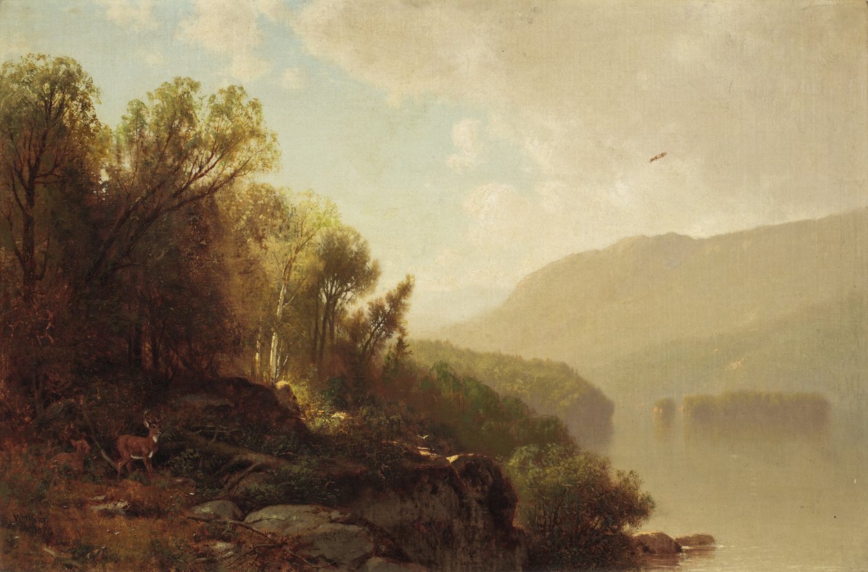 Nas Adirondacks, 1870 de William Hart