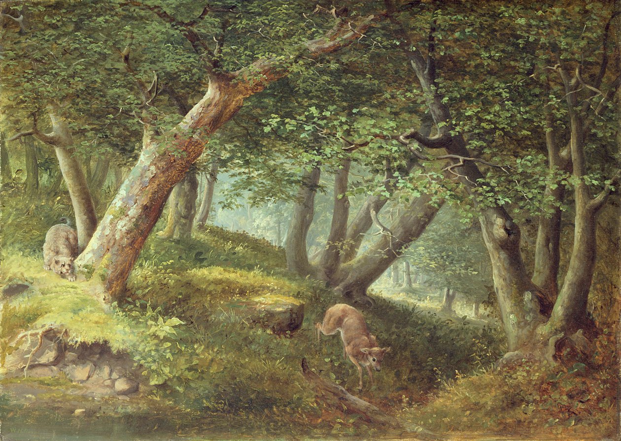 Na floresta, 1856 de William Holbrook Beard