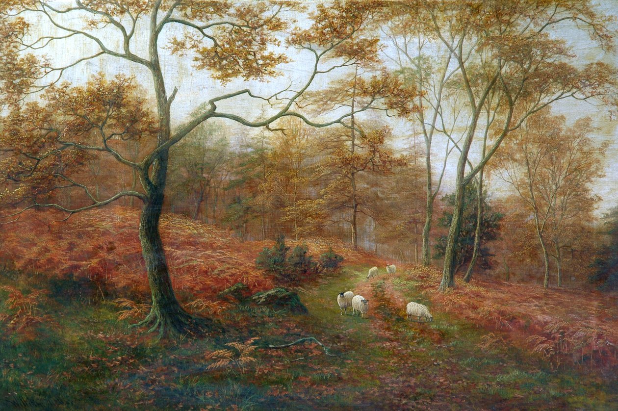 Bolton Woods, Yorkshire de William Mellor