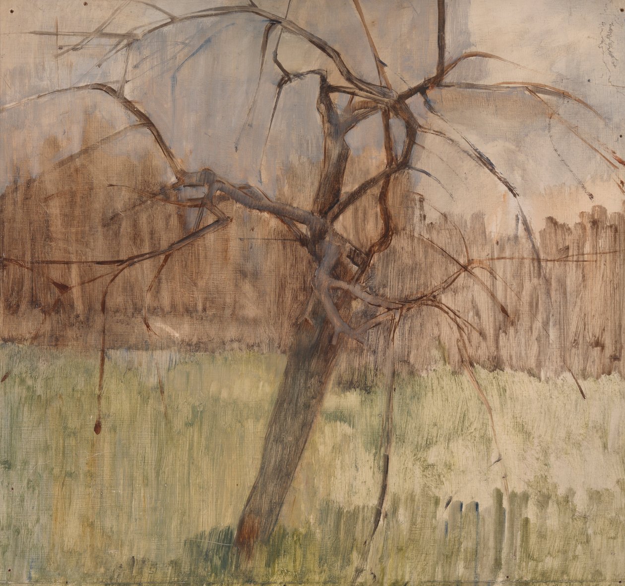Macieira, 1963 de William Packer