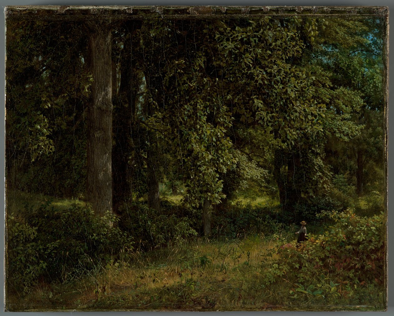 Tulipas, 1859 de William Trost Richards