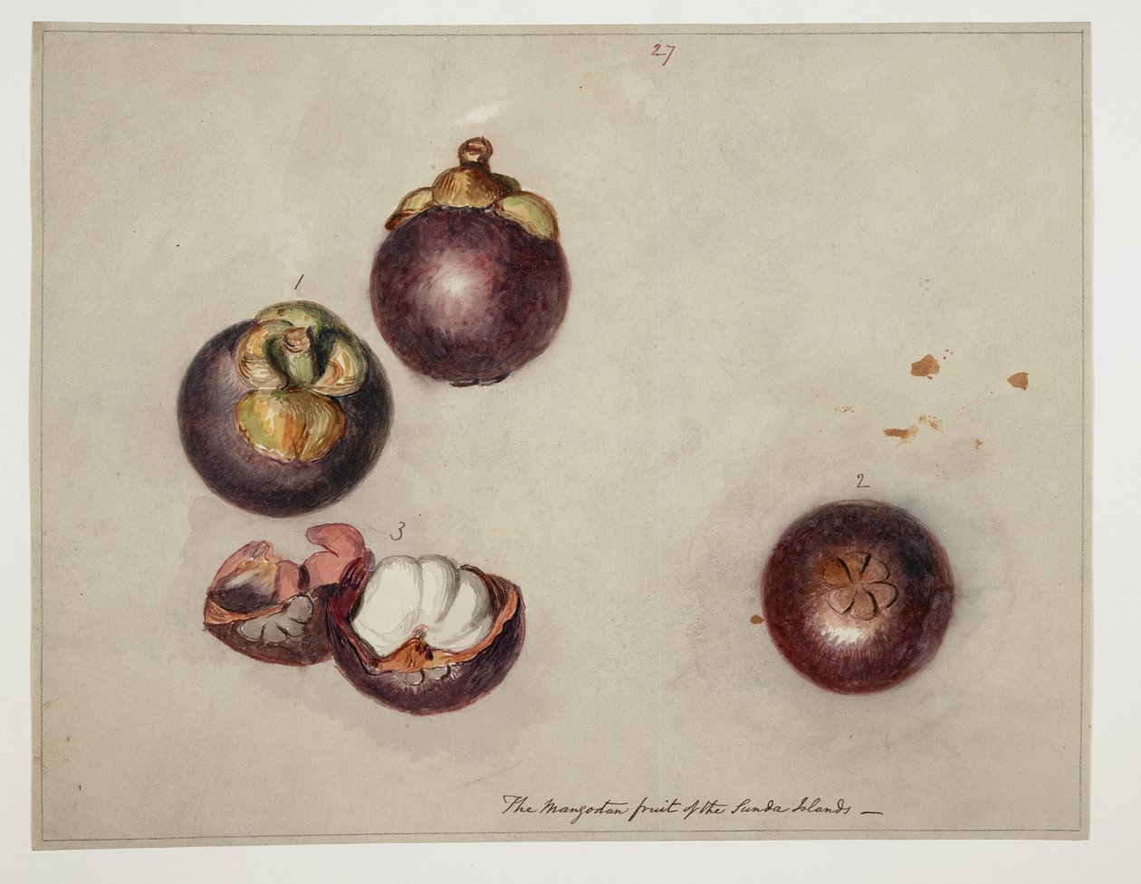 DM 961 f.27 de William Alexander
