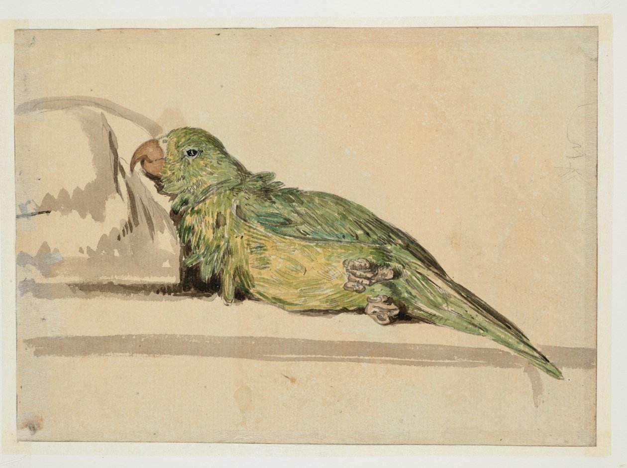 WD 961 f.4v de William Alexander