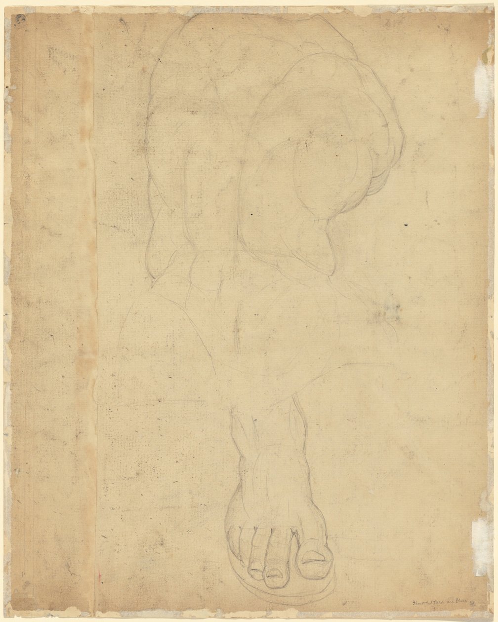 O Torso do Belvedere [verso] de William Blake