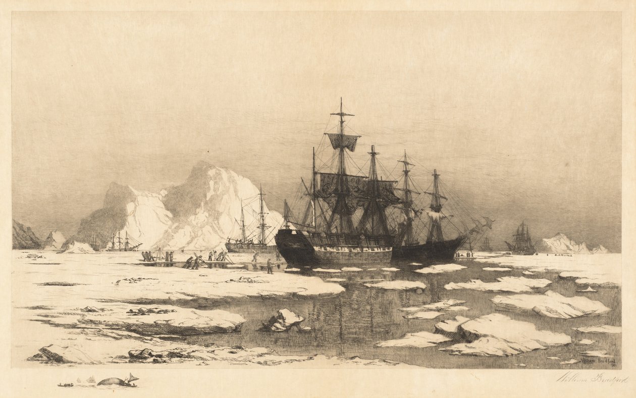 Entre os blocos de gelo de William Bradford