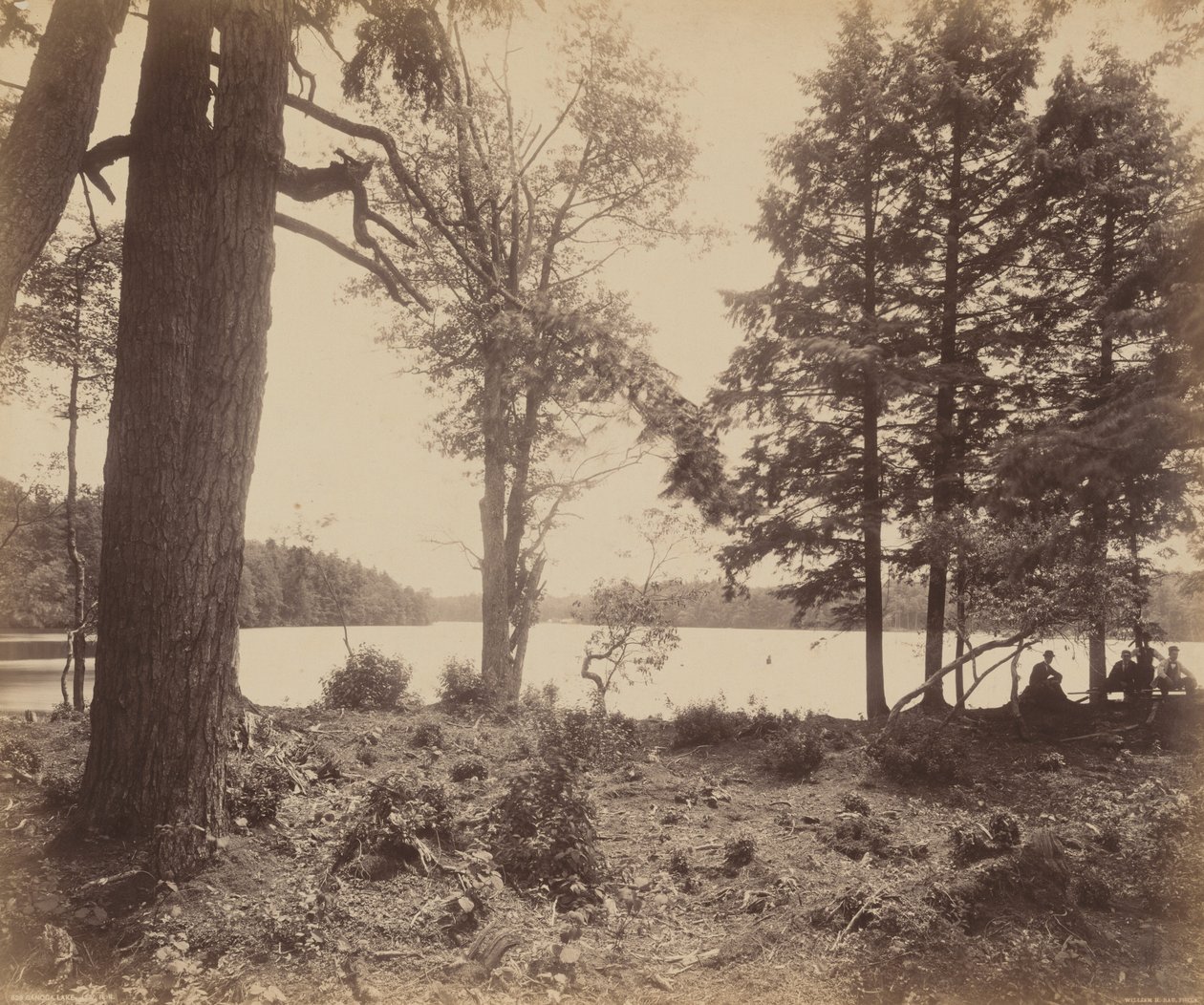 Lago Ganoga de William H. Rau