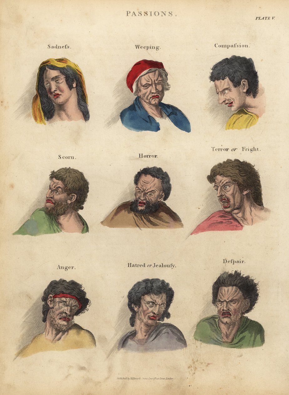 Paixões da Fisiognomia de William Smellie