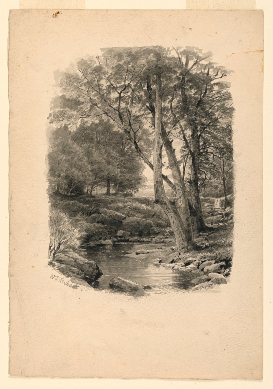 Piscina na floresta de William Trost Richards