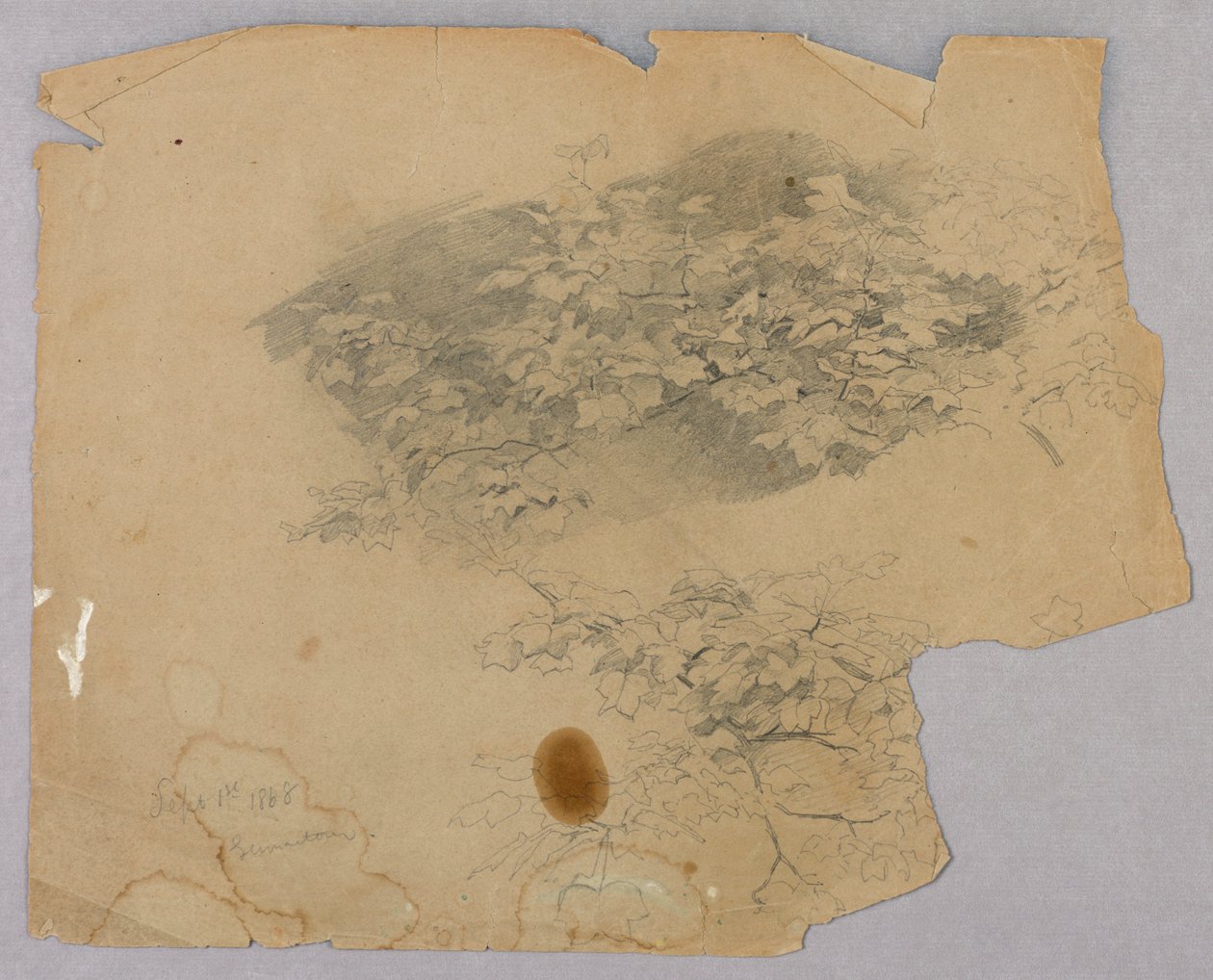 Estudo da folhagem de William Trost Richards