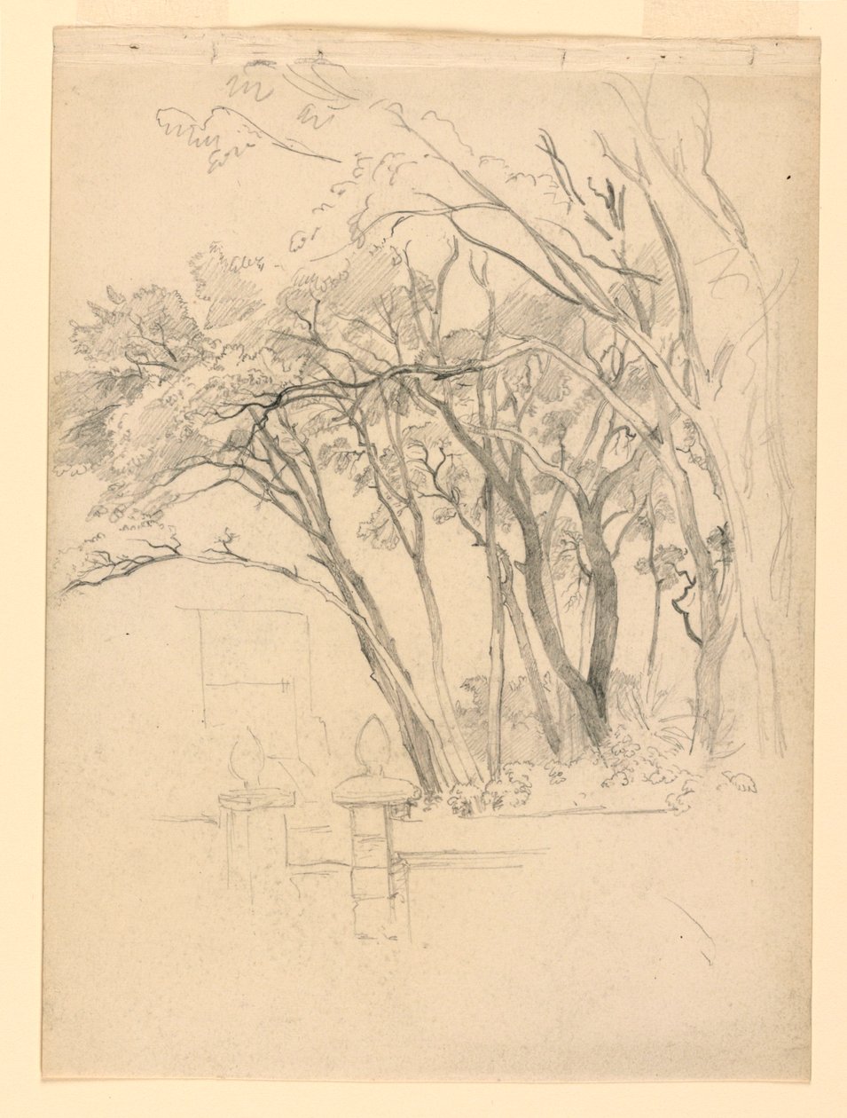 Estudo da folhagem de William Trost Richards