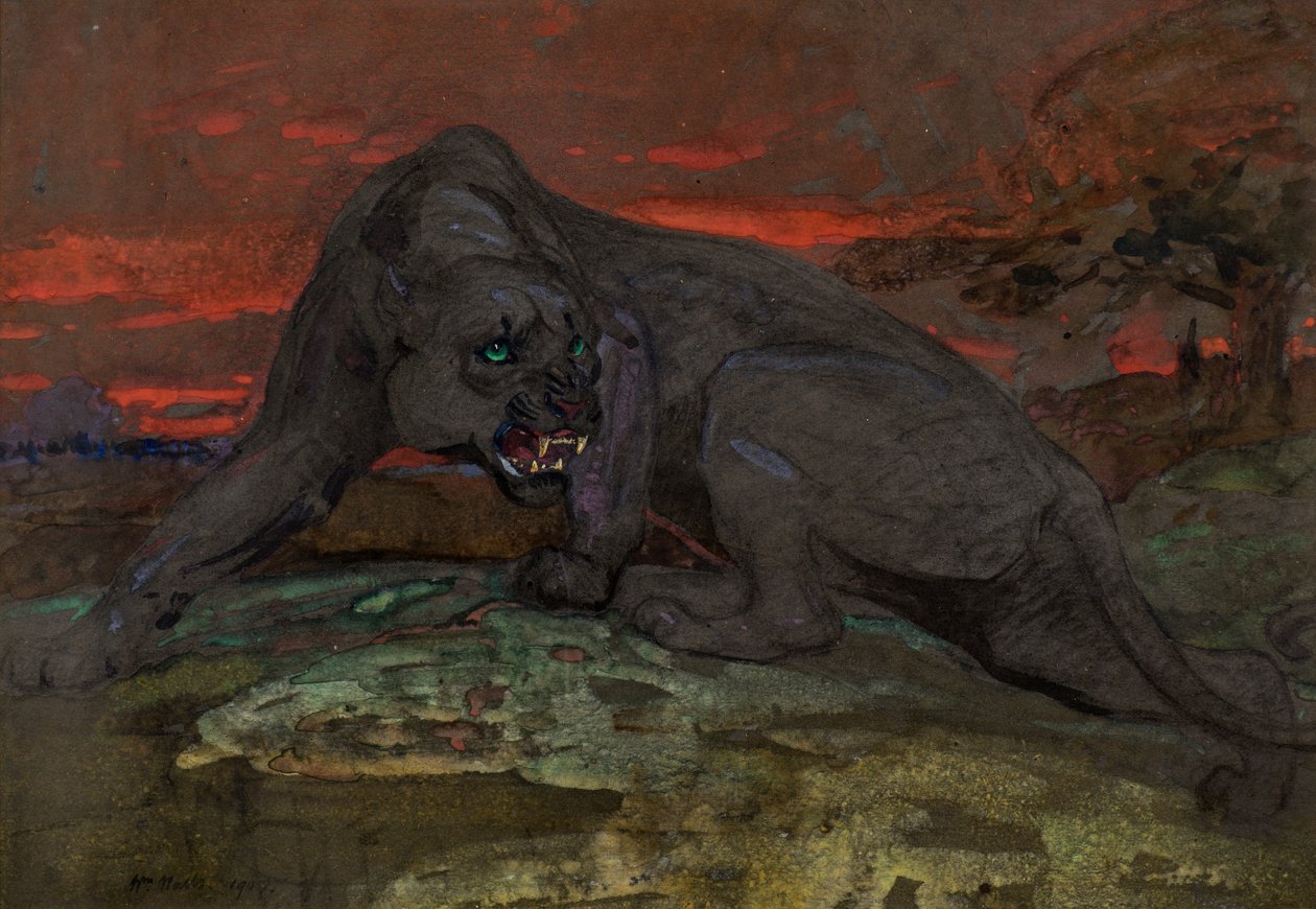 Pantera negra de William Walls