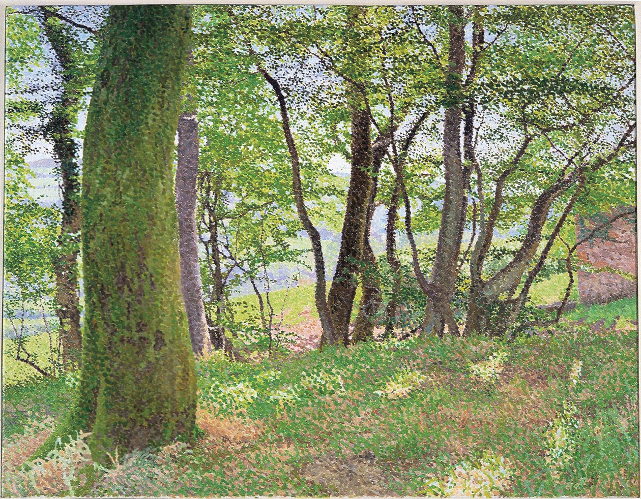 Tarde de Carmarthenshire de William Wilkins