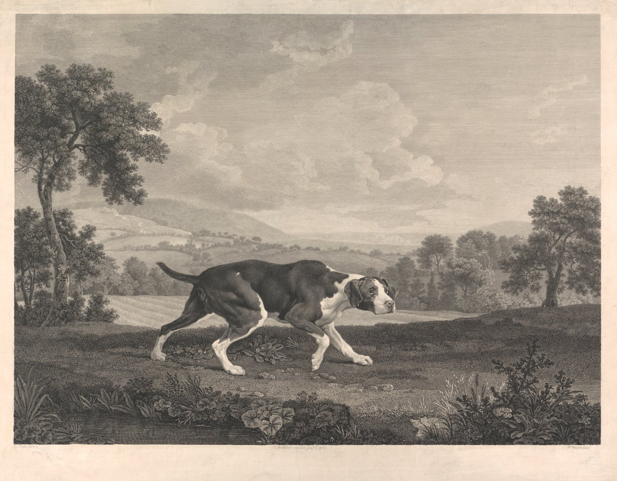 O Ponto Espanhol de William Woollett