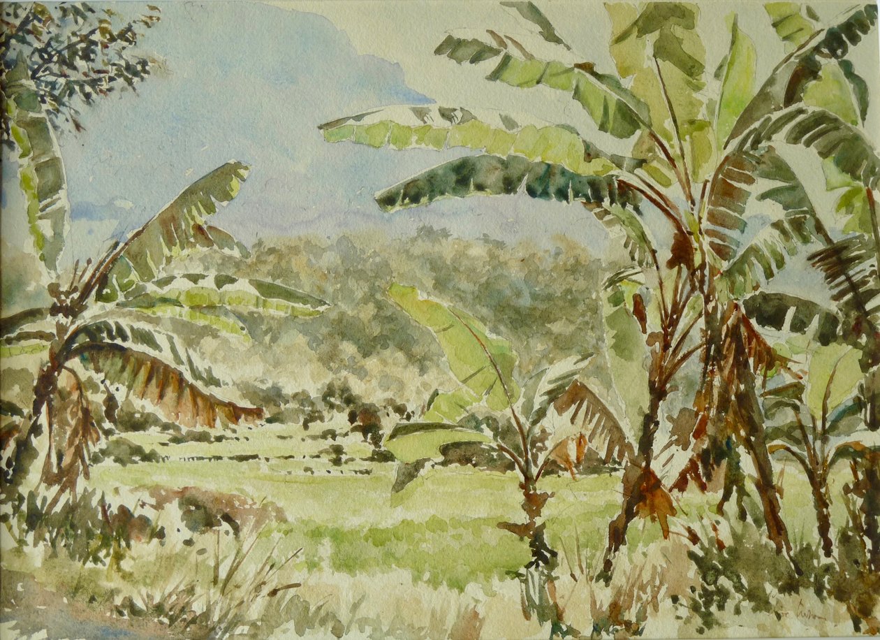 740 Bananeiras, Ramboda de Wilson Clive