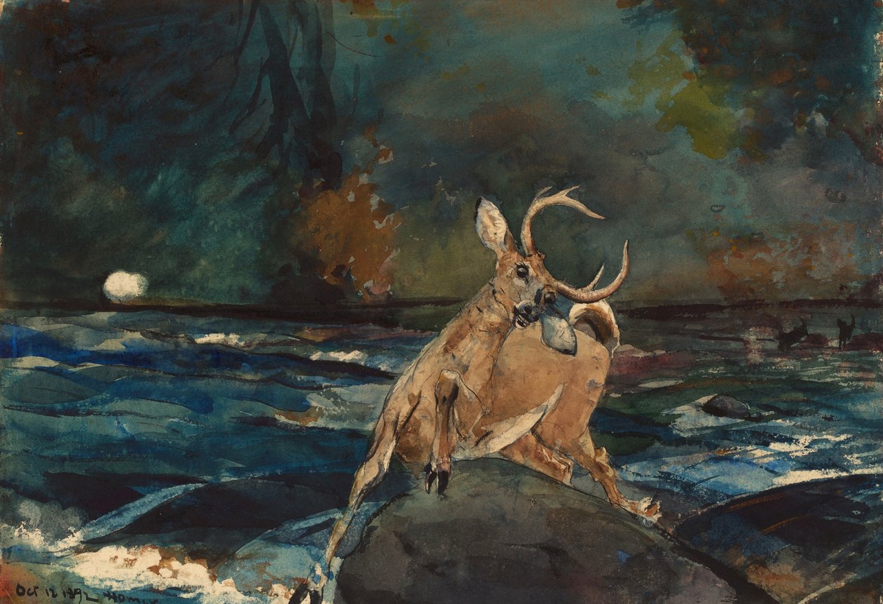 Um bom tiro, Adirondacks de Winslow Homer