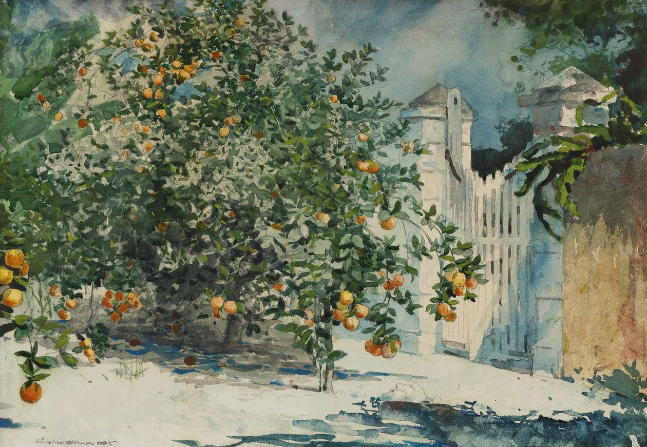 Laranjeiras e portão de Winslow Homer