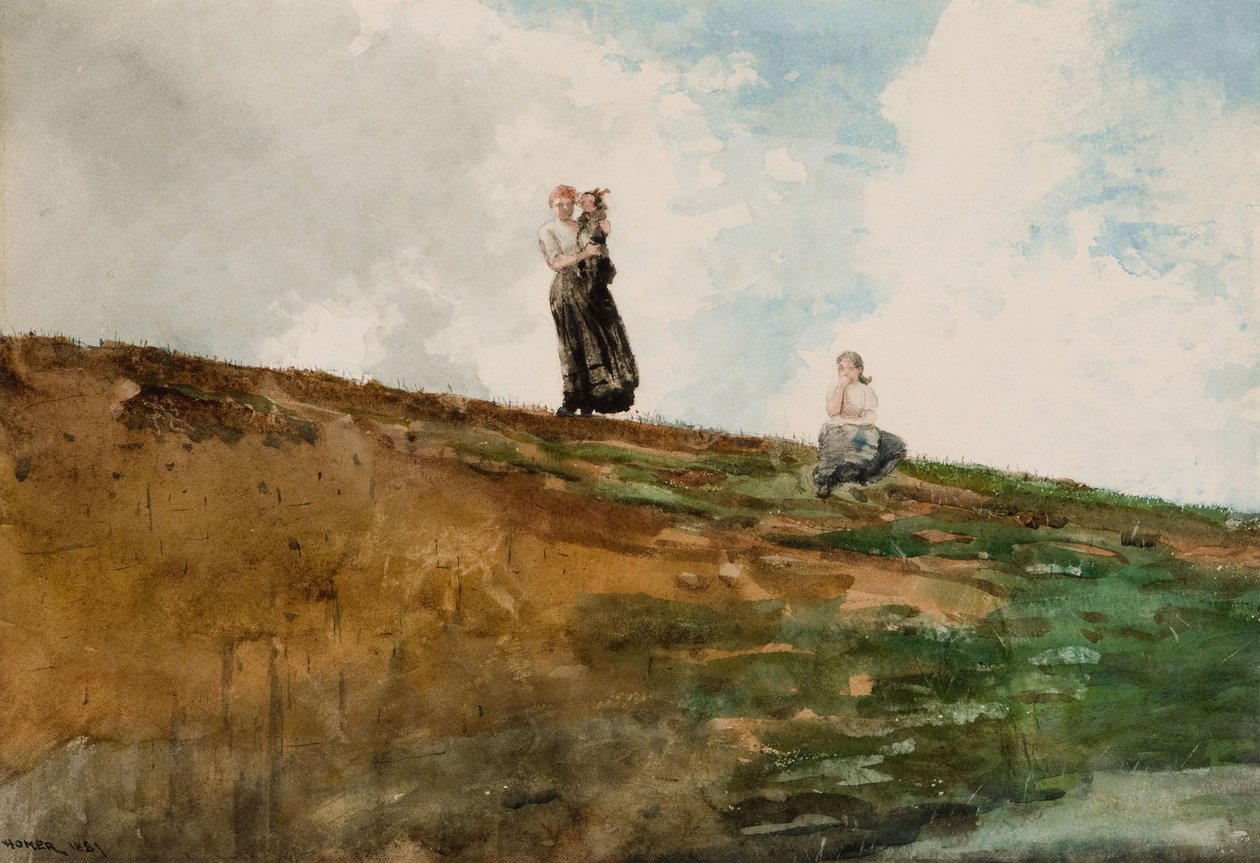 Assistindo dos penhascos de Winslow Homer