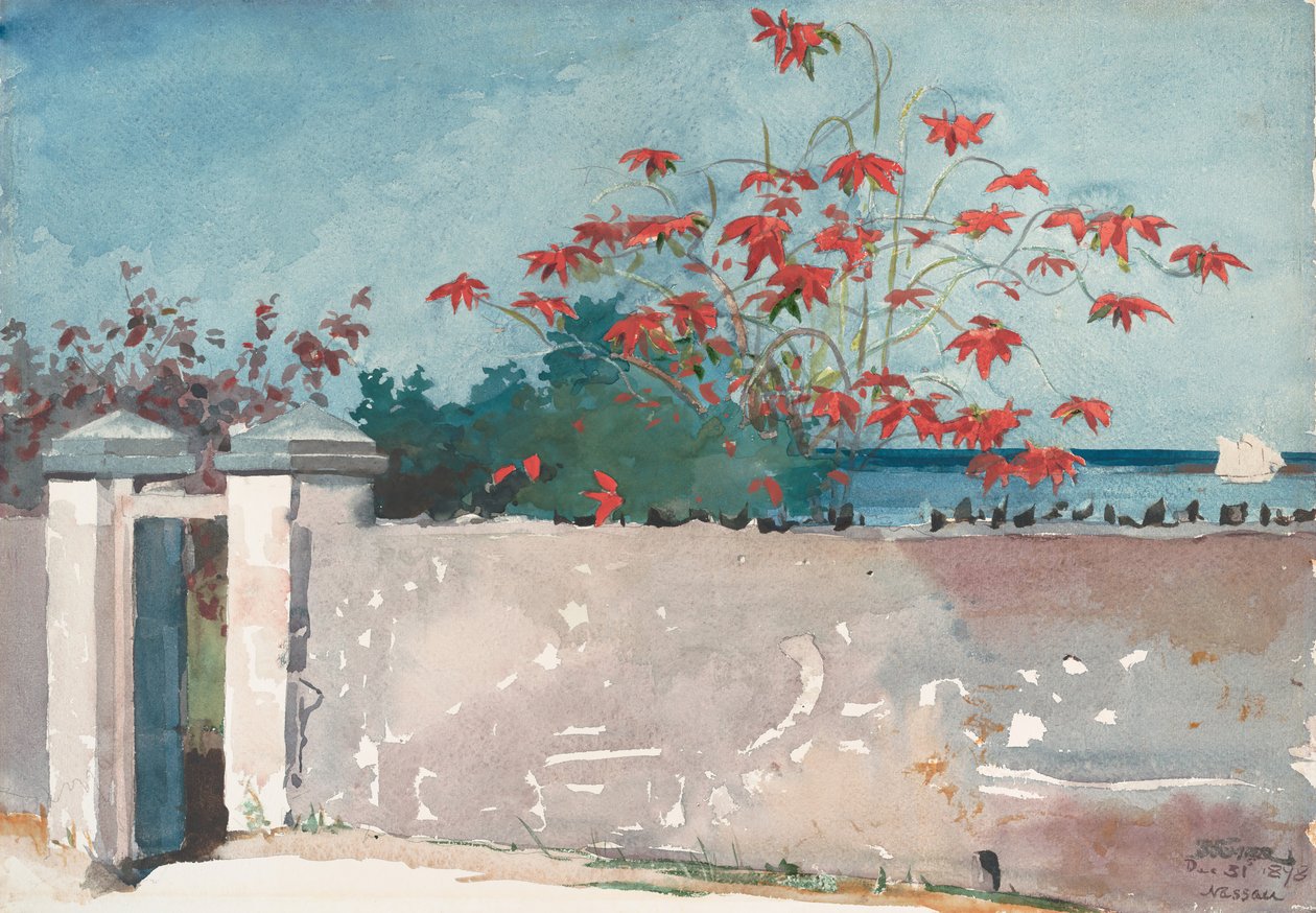 Um Muro, Nassau, 1898. de Winslow Homer