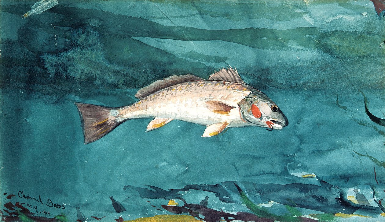 Channel Bass de Winslow Homer
