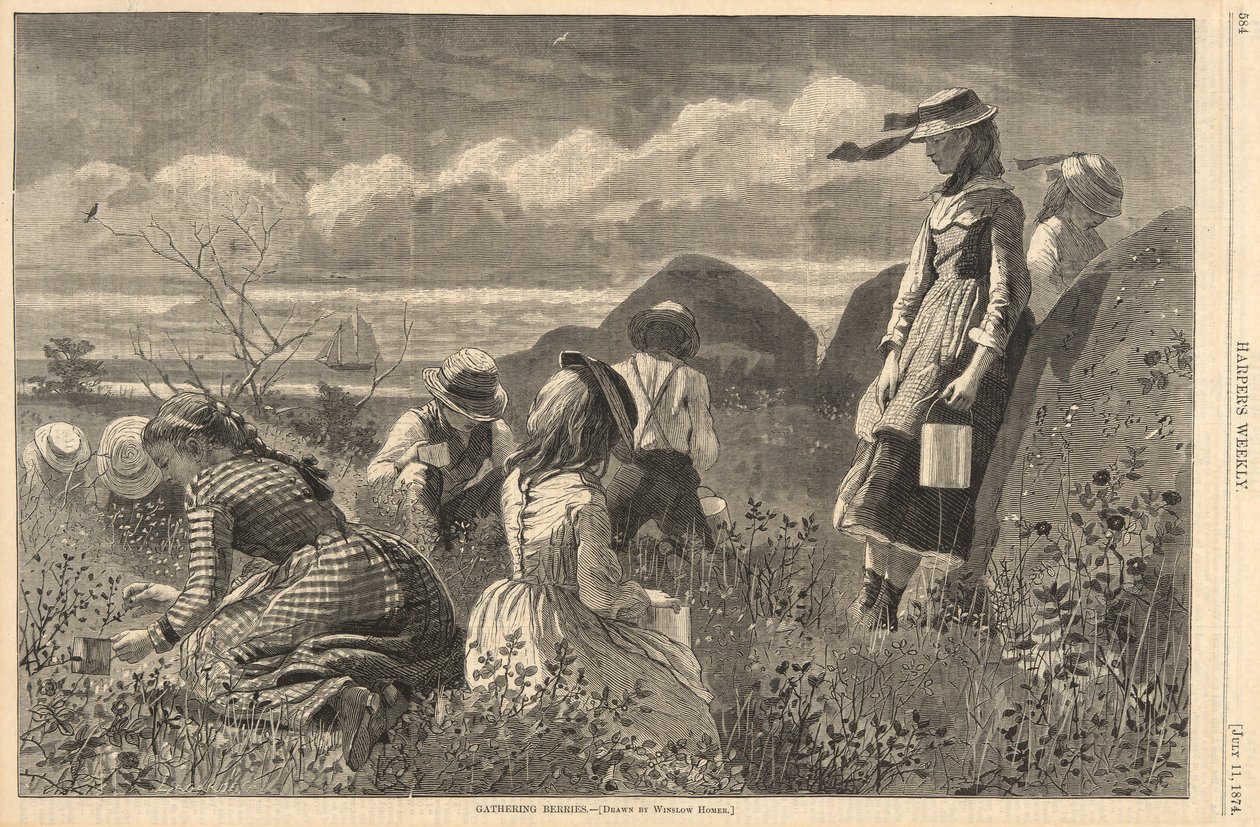 Colhendo Bagas, de Harper de Winslow Homer