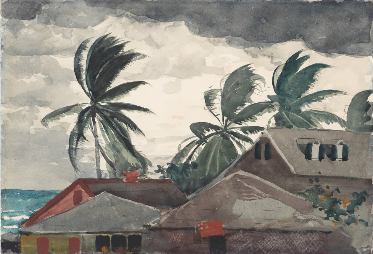 Hurricane, Bahamas, 1898. de Winslow Homer