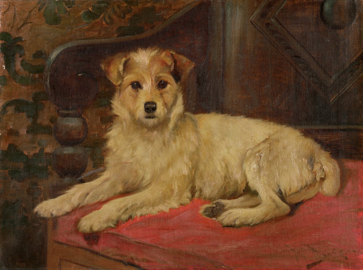 Um terrier em um sofá de Wright Barker