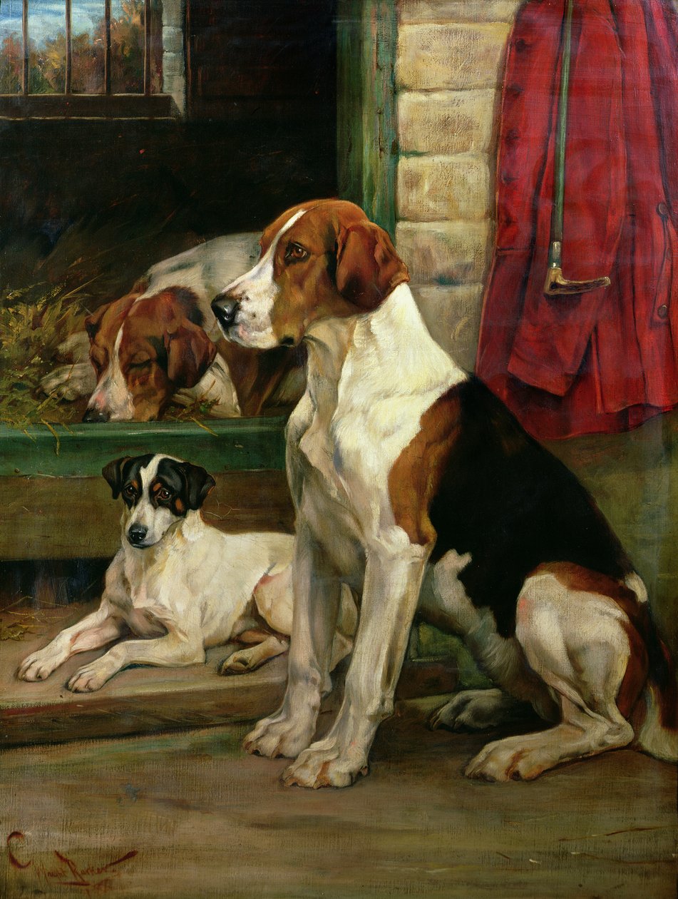 Pelos canis de Wright Barker