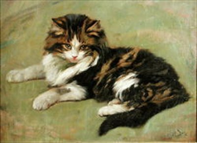 Estudo de um gato (óleo a bordo) de Wright Barker