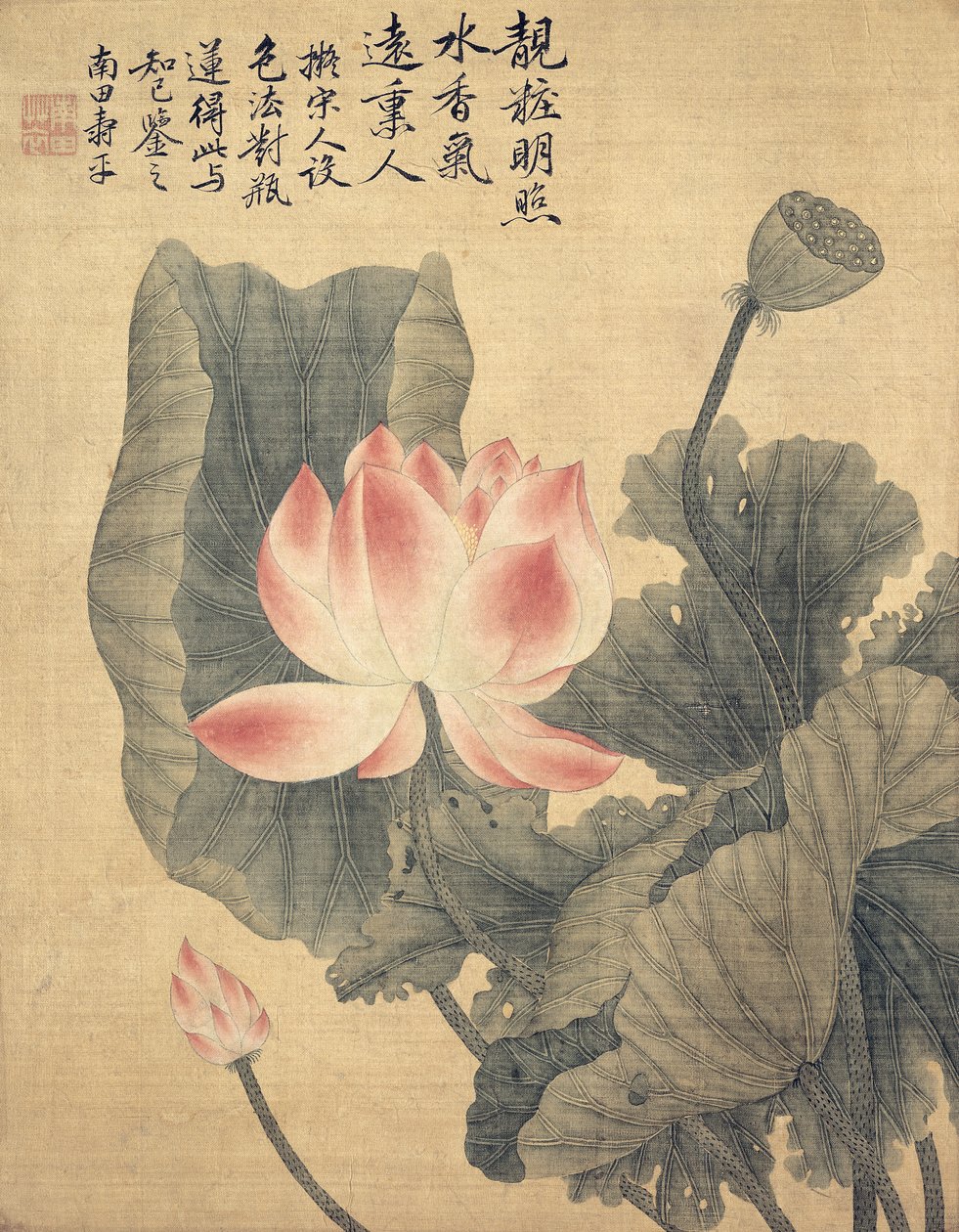 Peônias (tinta e cor em papel de seda) de Shouping Yun