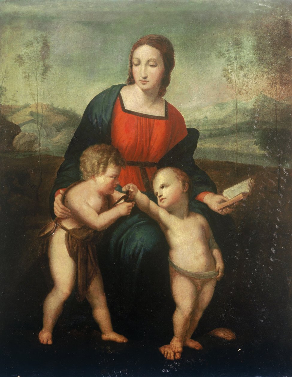 A Madonna del Cardellino de after Raphael