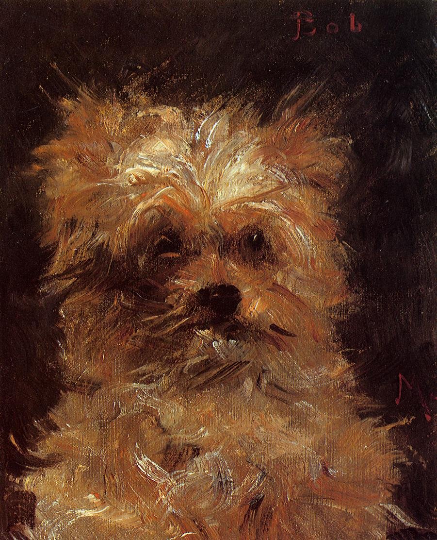Bob, cachorro Griffon de Édouard Manet