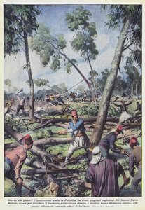 Guerra nas plantas!