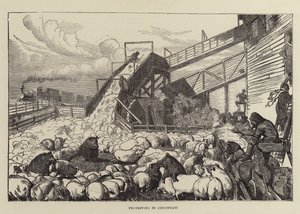 Pig-condução em Cincinnati