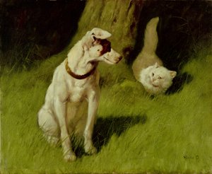 Gato persa branco e Jack Russell