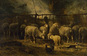 O Grande Redil, 1881