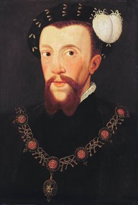 Retrato de Henry Howard, 1546