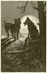 O lobo e o mastim