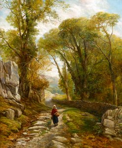 Um passeio pela floresta, 1872