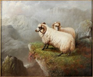 Ovelha em uma borda do penhasco, c.1865-68