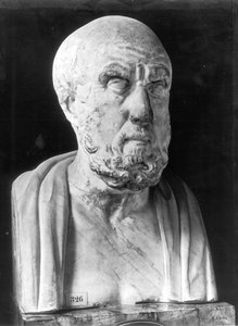 Busto de Hipócrates (c.460-c.377 aC) (mármore)
