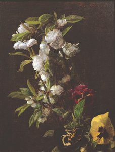 Flores, 1876