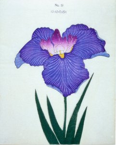 Al-Al-Gasa, no.19, 1898