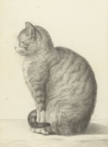 Gato sentado, para a esquerda. 1815