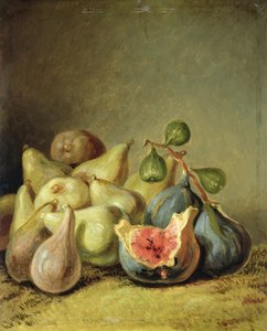 Frutas ainda vida