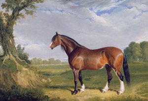 Um garanhão de Clydesdale, 1820