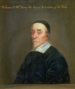Retrato de William Harvey (1578-1657)