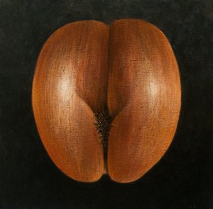 Coco de Mer, 2010 (acrílico sobre tela)