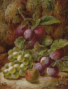 Ainda vida com ameixas e uvas